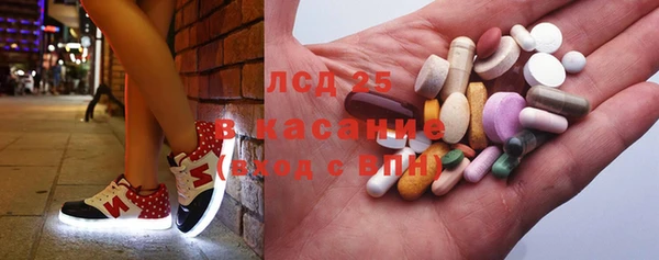 гидра Володарск