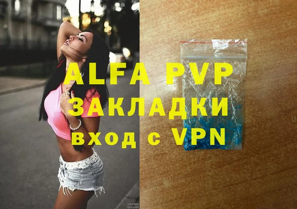 гидра Володарск