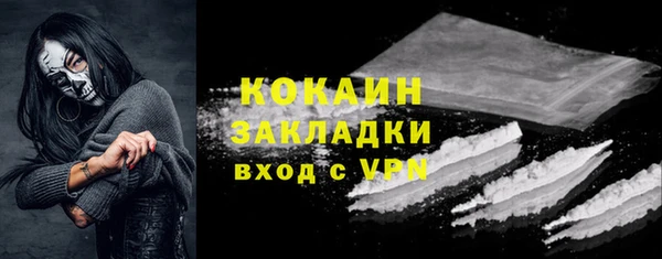 гидра Володарск