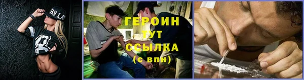 гидра Волоколамск