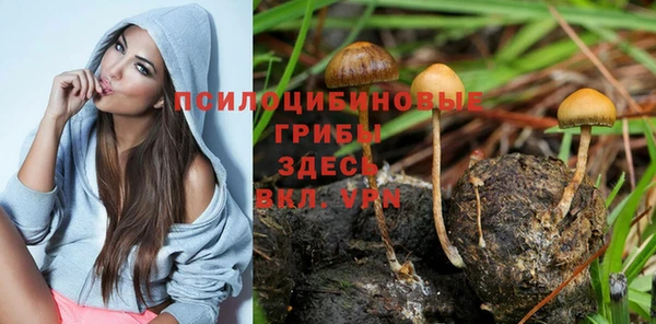 хмурый Волосово