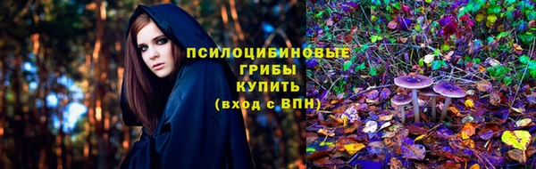 гидра Волоколамск
