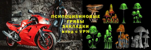 хмурый Волосово
