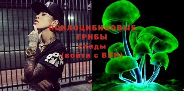 гидра Волоколамск