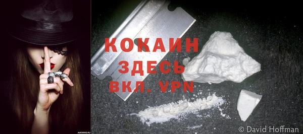хмурый Волосово